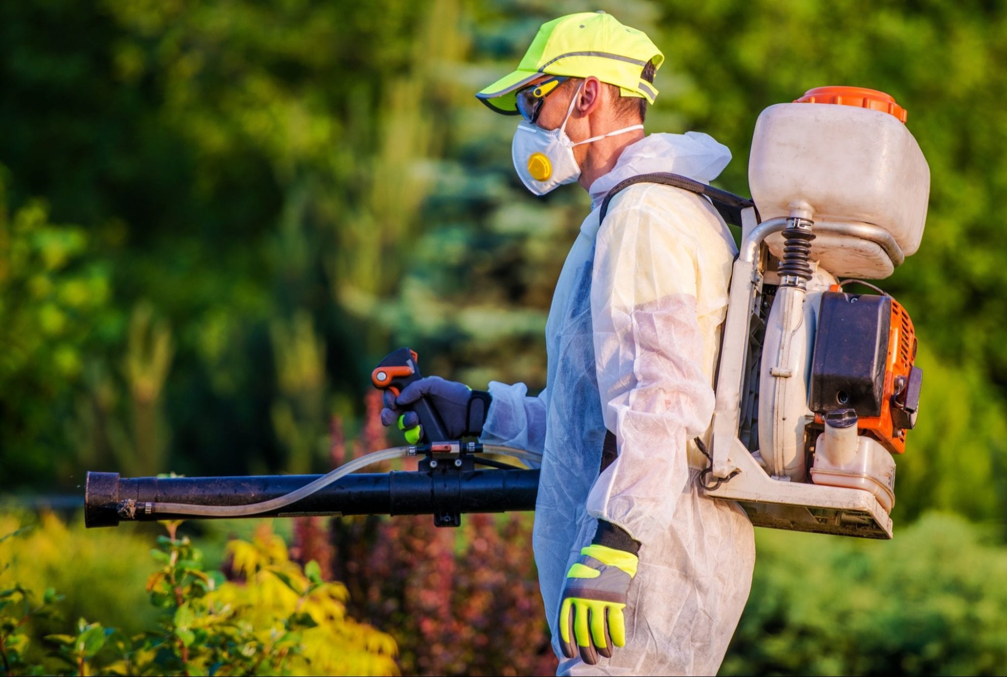  Eco-Friendly Pest Control: Safe for Family and Pets